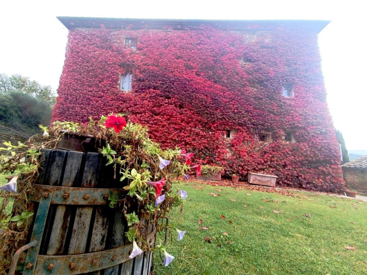Locanda Di Santantimo Bed & Breakfast Chiassa Superiore ภายนอก รูปภาพ